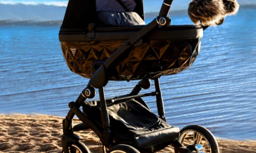 Case Study: Junama Prams